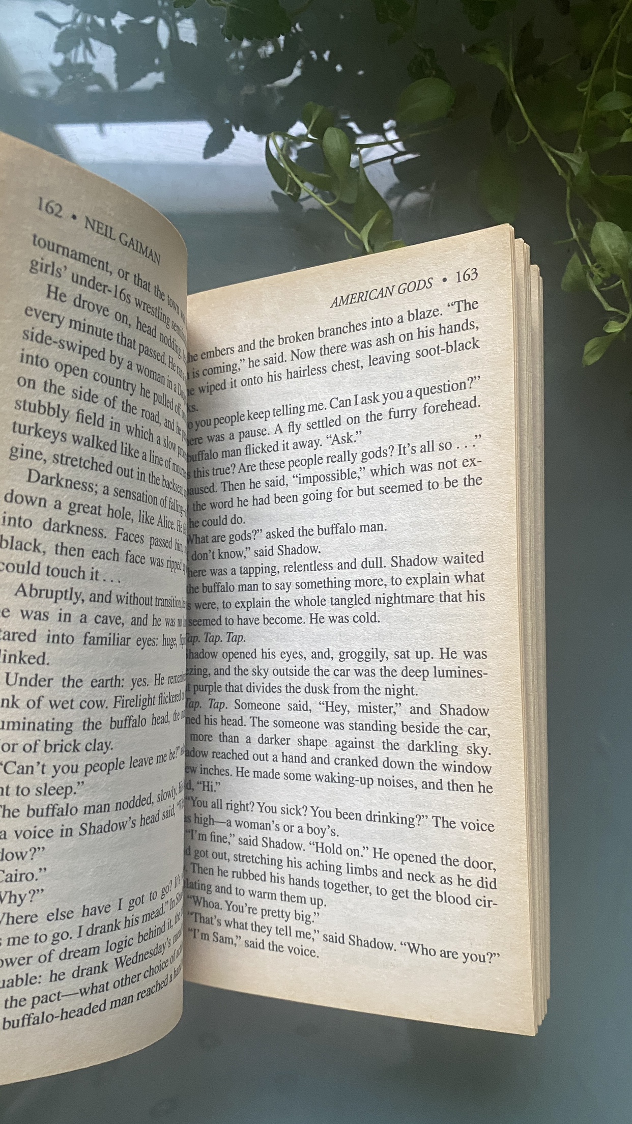 Book: American Gods - Neil Gaiman image indicator(5)