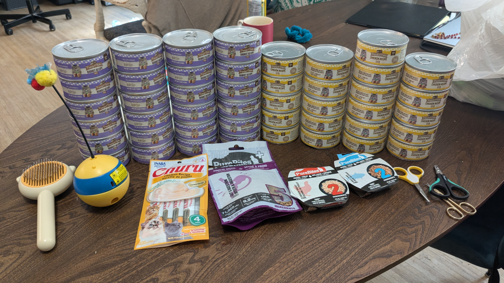 premium cat canned food Merrick