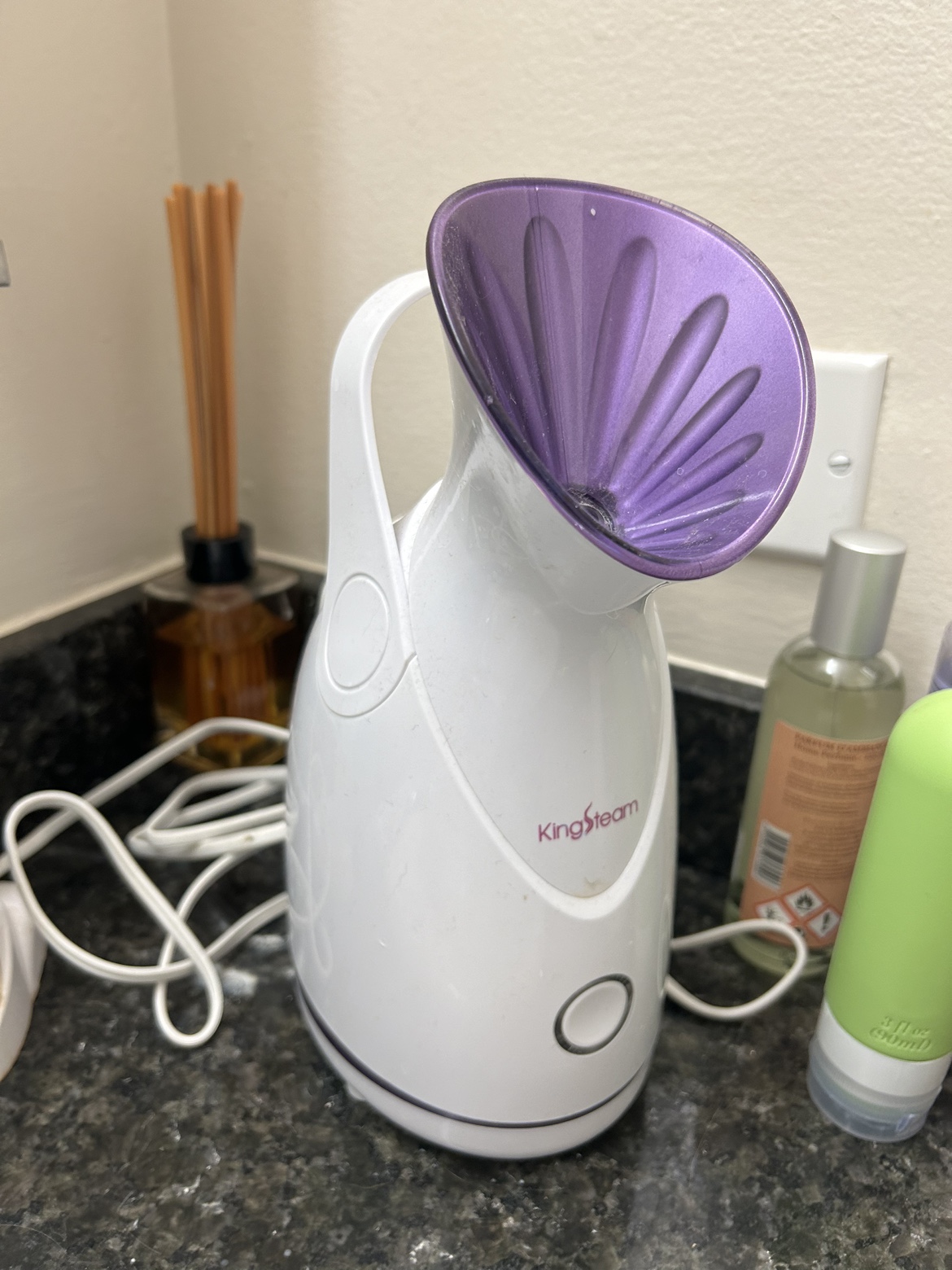 Face steamer