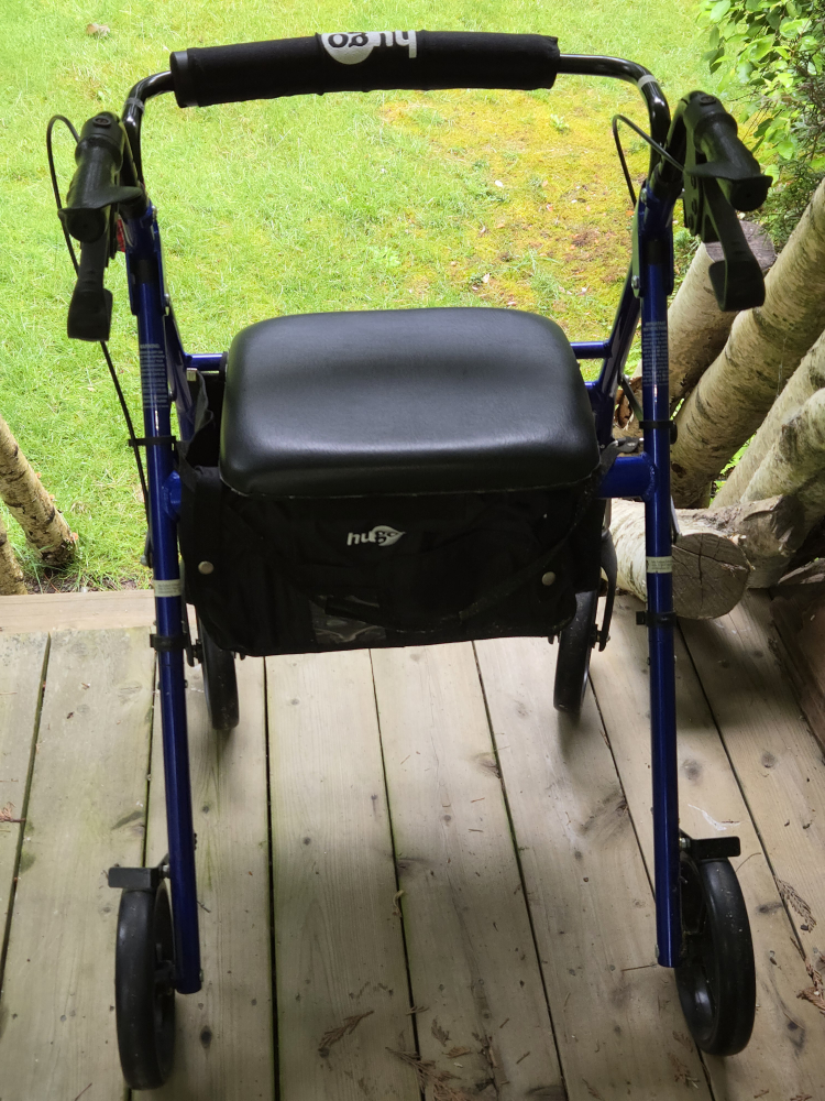 Hugo Adult Walker