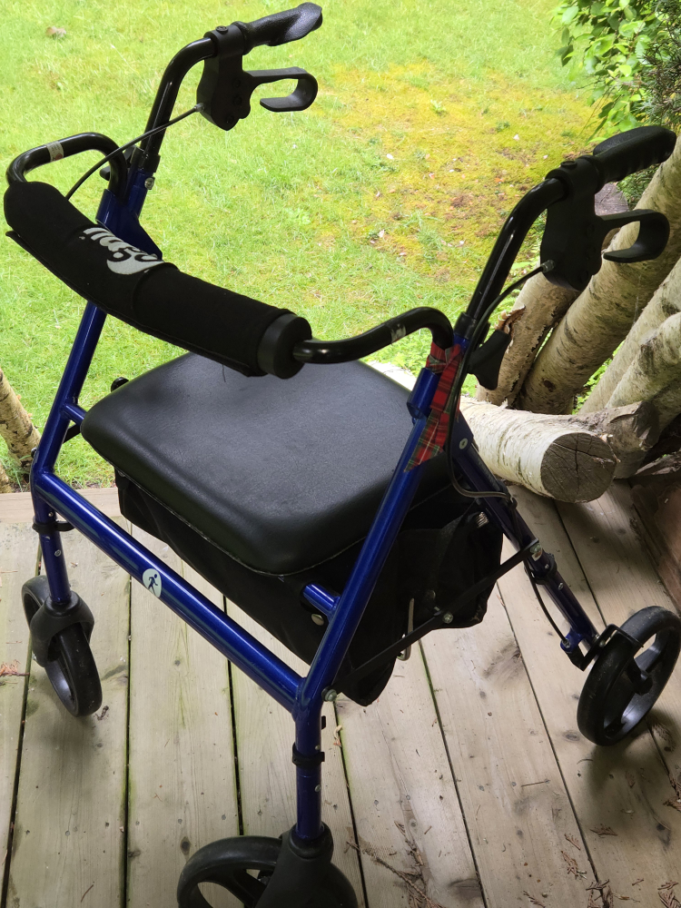 Hugo Adult Walker - photo 2