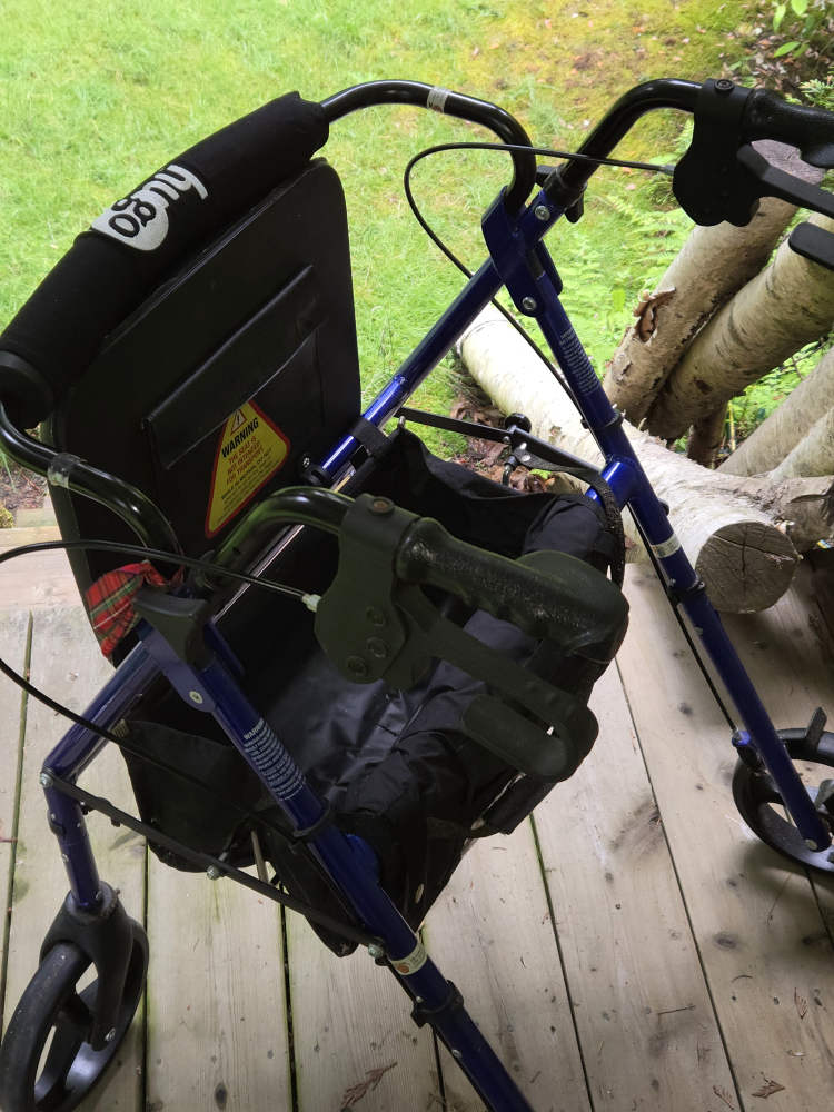 Hugo Adult Walker - photo 3