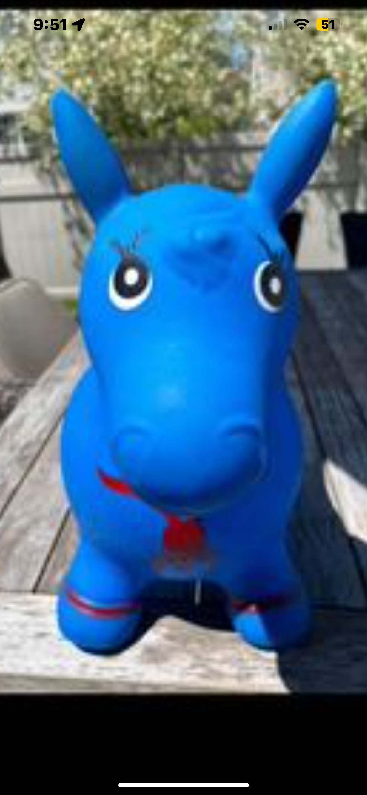 Bouncy Horse