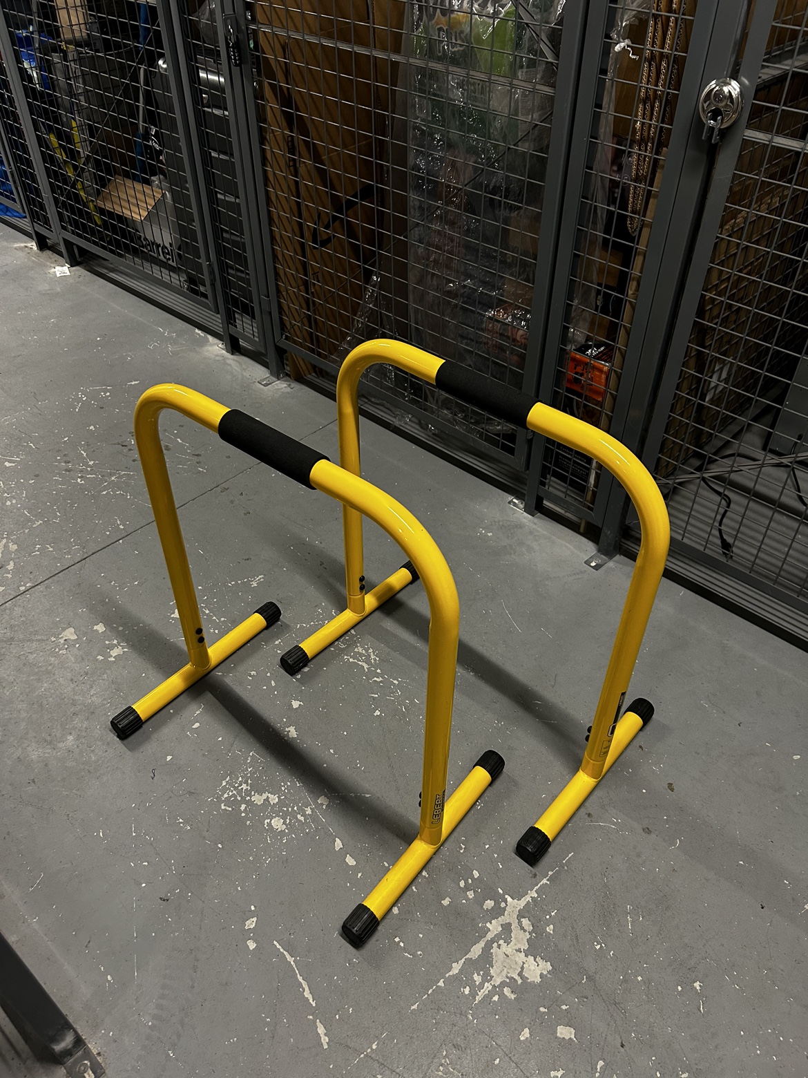 Lebert Equalizer Fitness Bars