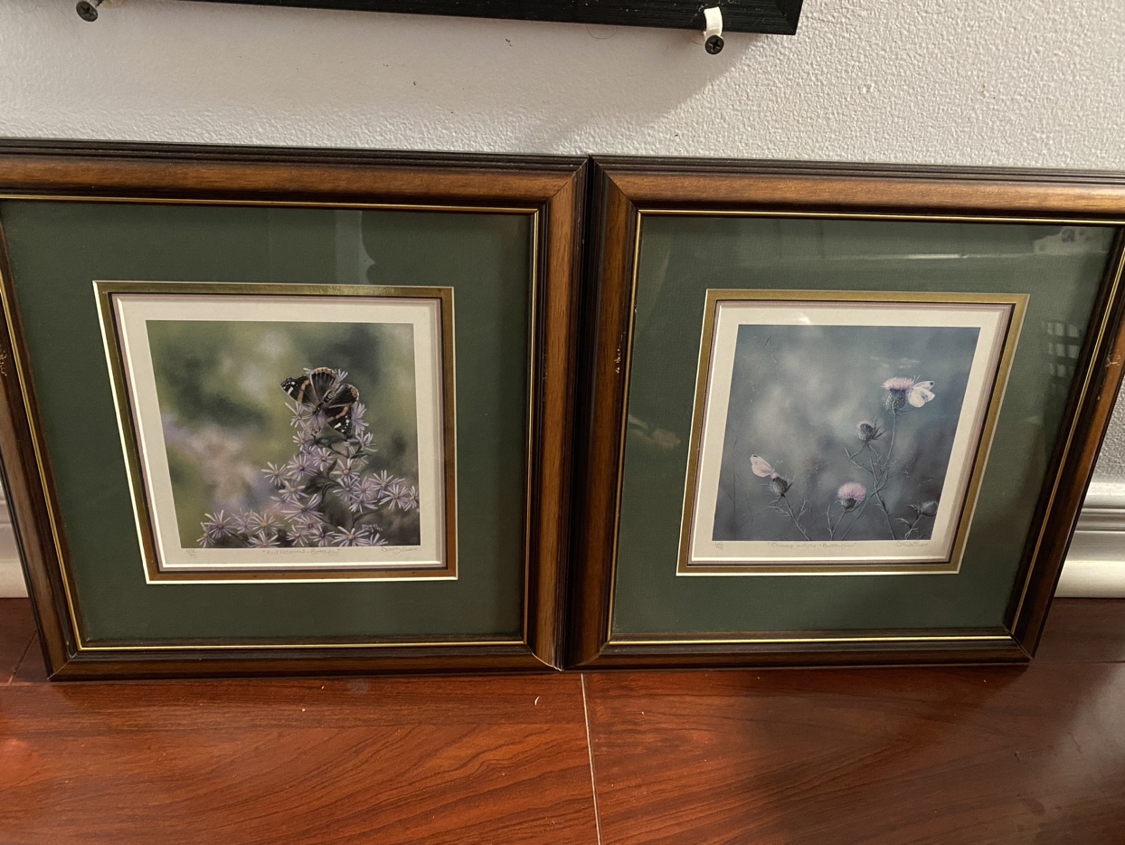 Photo frames ~free