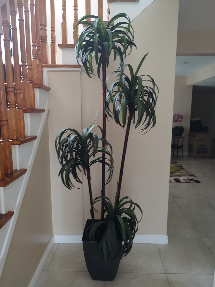 artificial plant