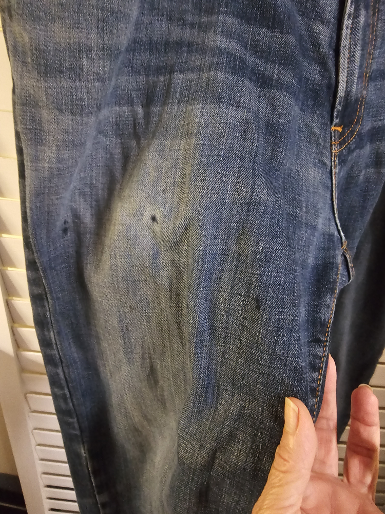 Tommy Hilfiger  men's jeans image indicator(4)