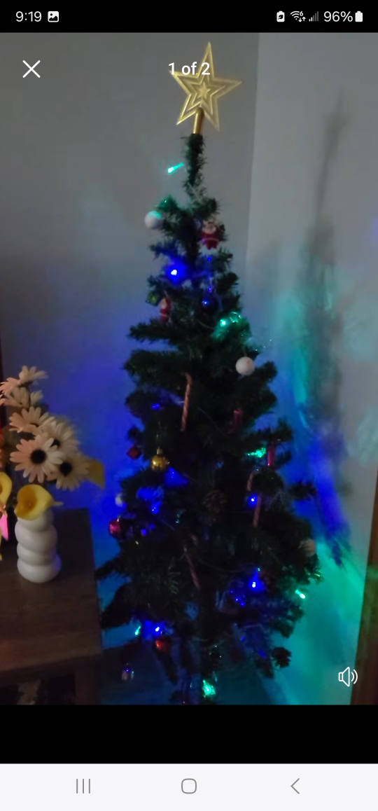 Xmas tree 🌲 image indicator(2)