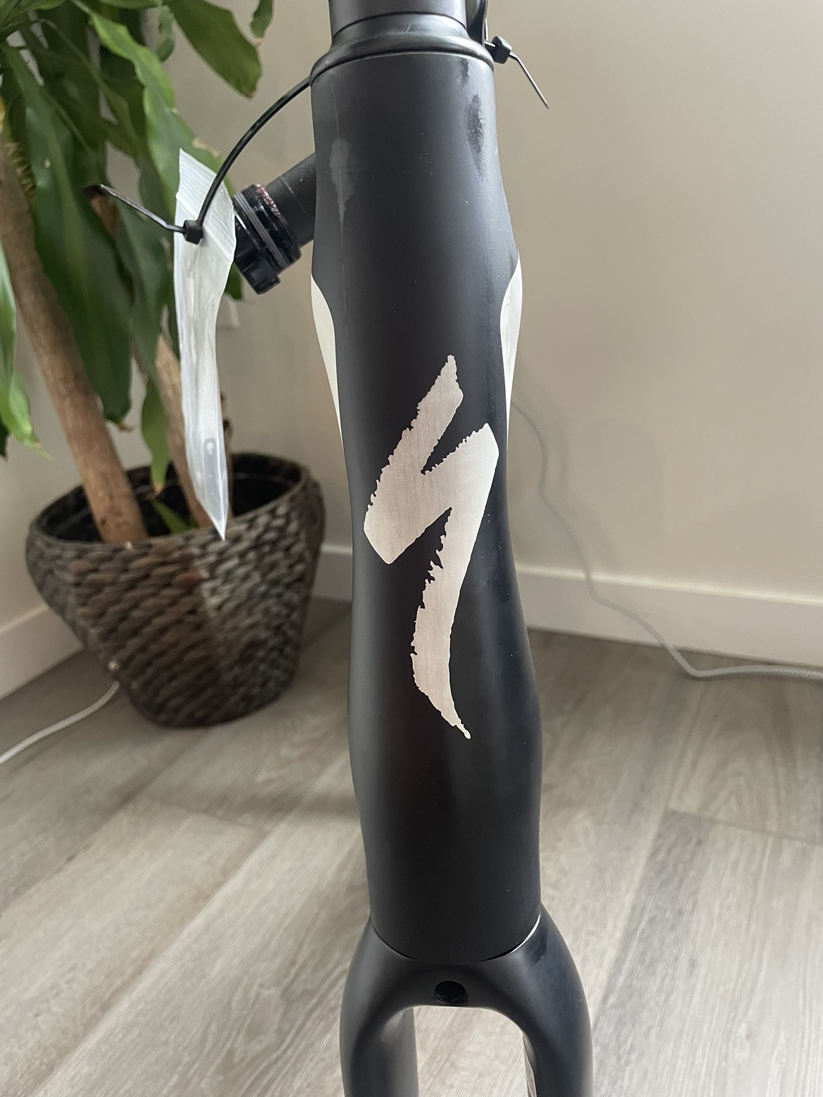 Specialized Roubaix Frame (61) - photo 5