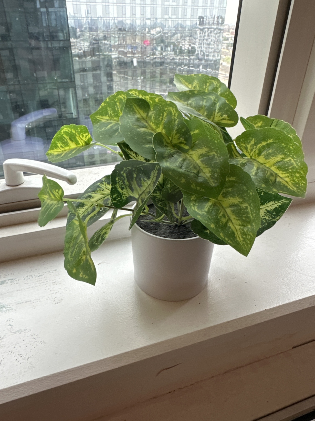Free Decorative Plant Pot Giveaway! Fake Plant #freecycle