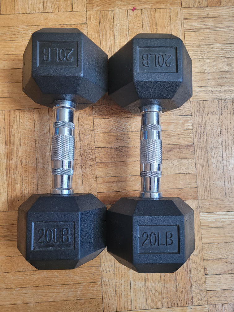 20 lbs Dumbells - Brand New thumbnail