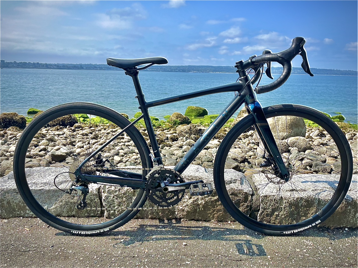 Marin Gestalt 2
