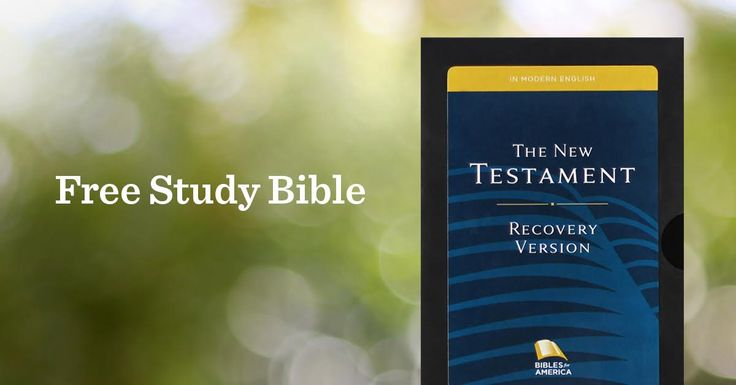 Free New Testament Study Bible #freecycle image indicator(5)