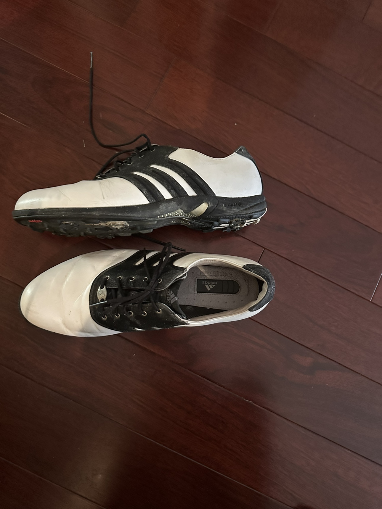 Adidas golf shoes image indicator(2)