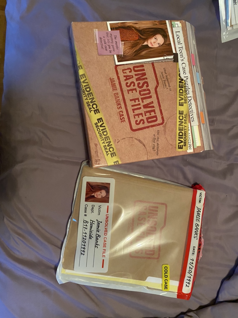 Unsolved Case Files Game image indicator(2)