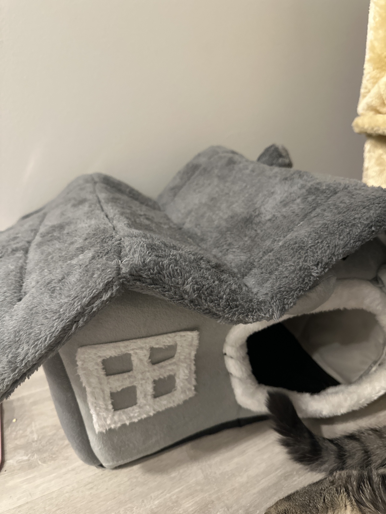 Little pet house , for cat/dog #freecycle - photo 2