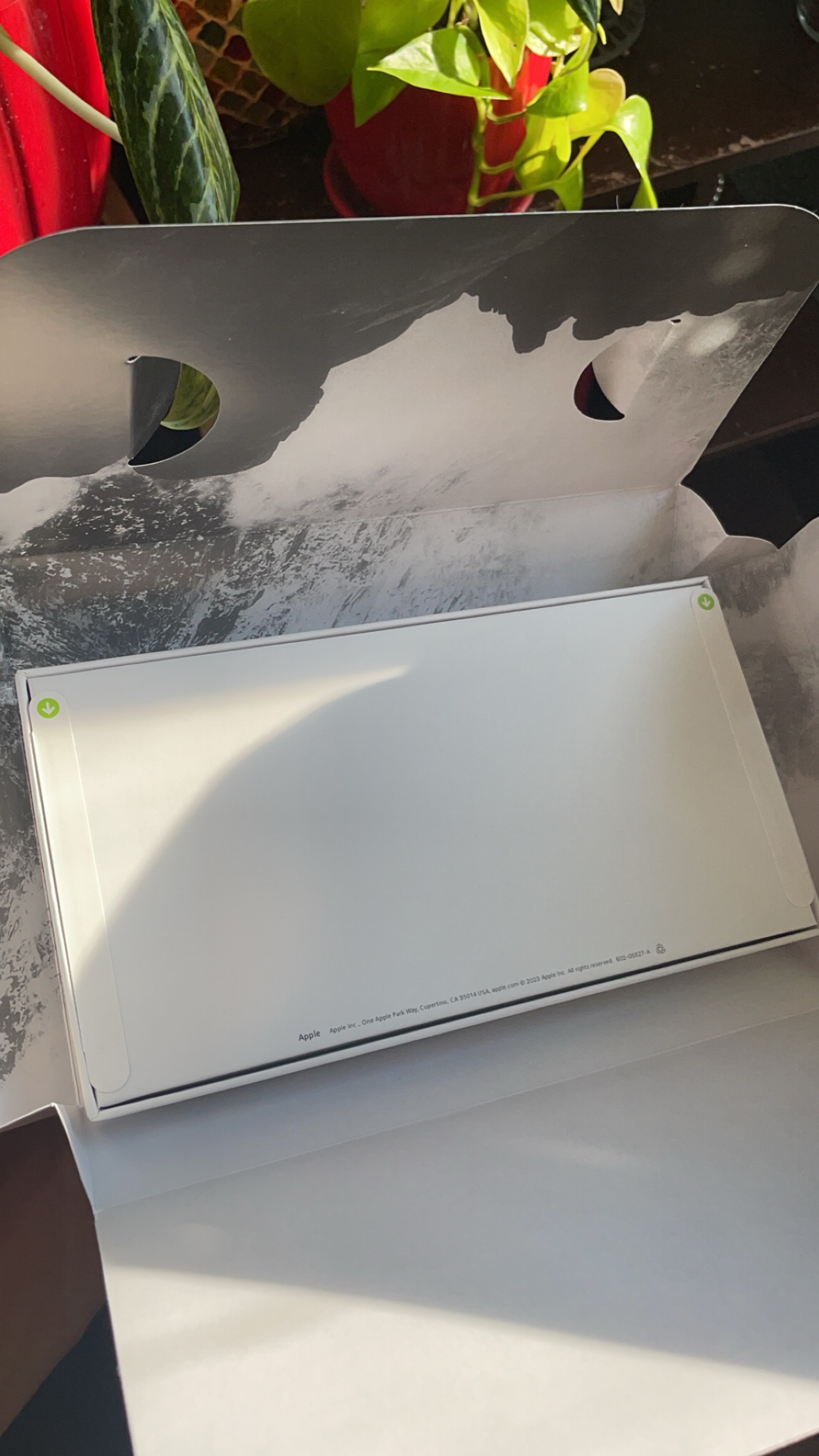 Apple Watch Ultra 2 - photo 4