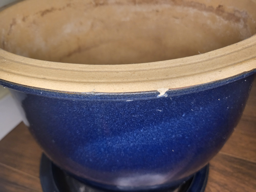 Large ceramic planter image indicator(3)