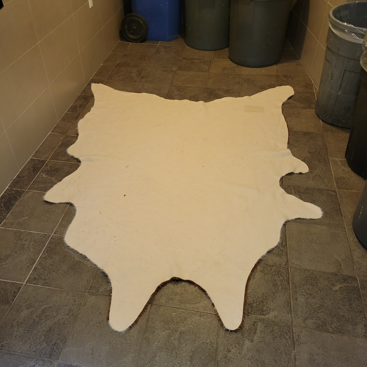 cowhide rug. image indicator(2)