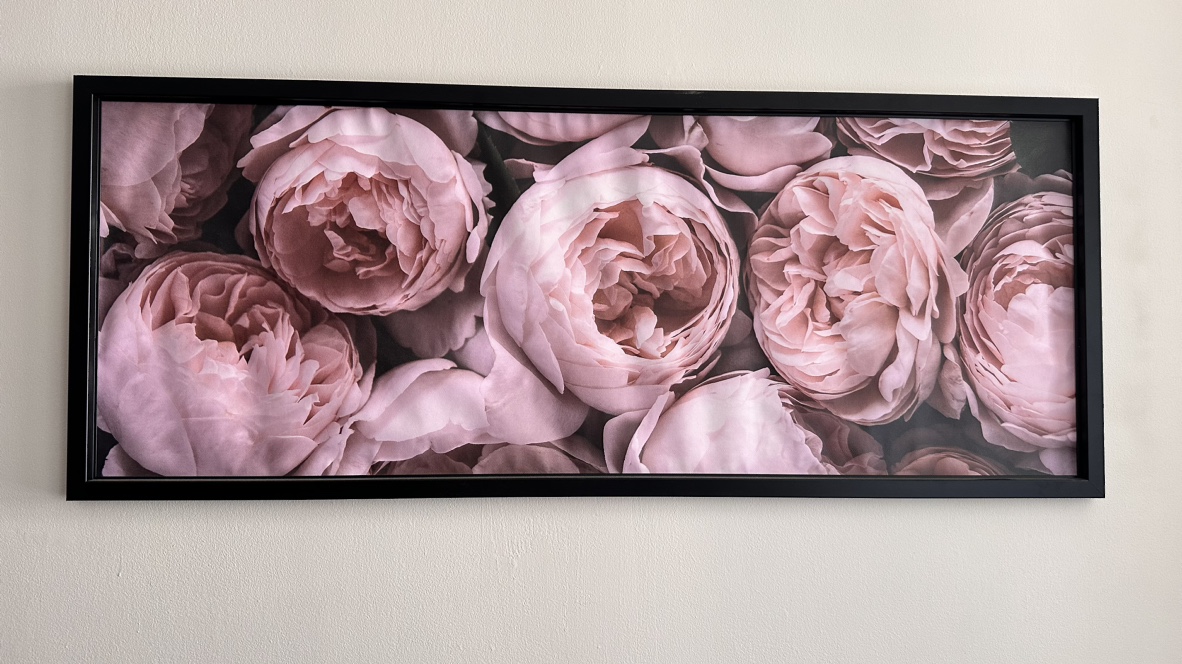 Large Pink Peony Print and Black Frame