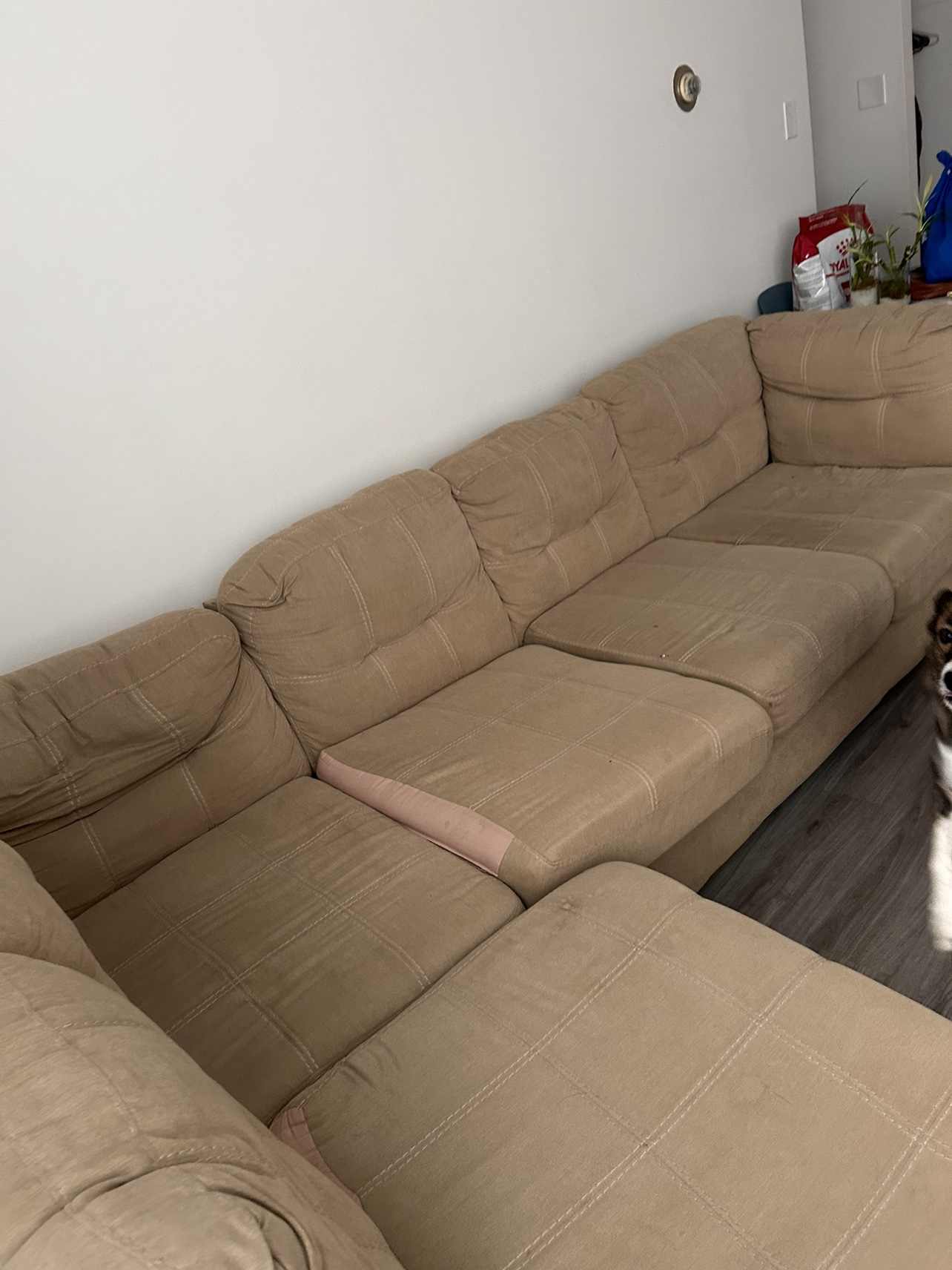 Sofa / Couch - photo 2