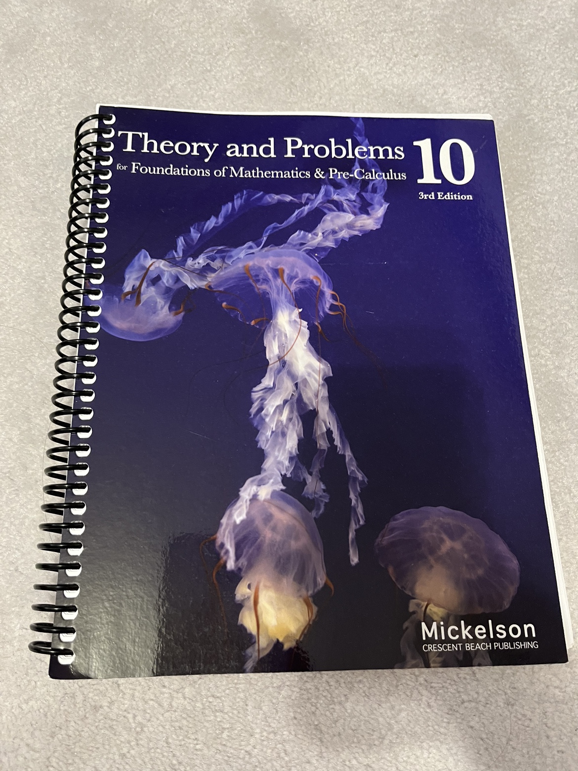 Used Pre-Calculus 10 Math Workbook | Karrot