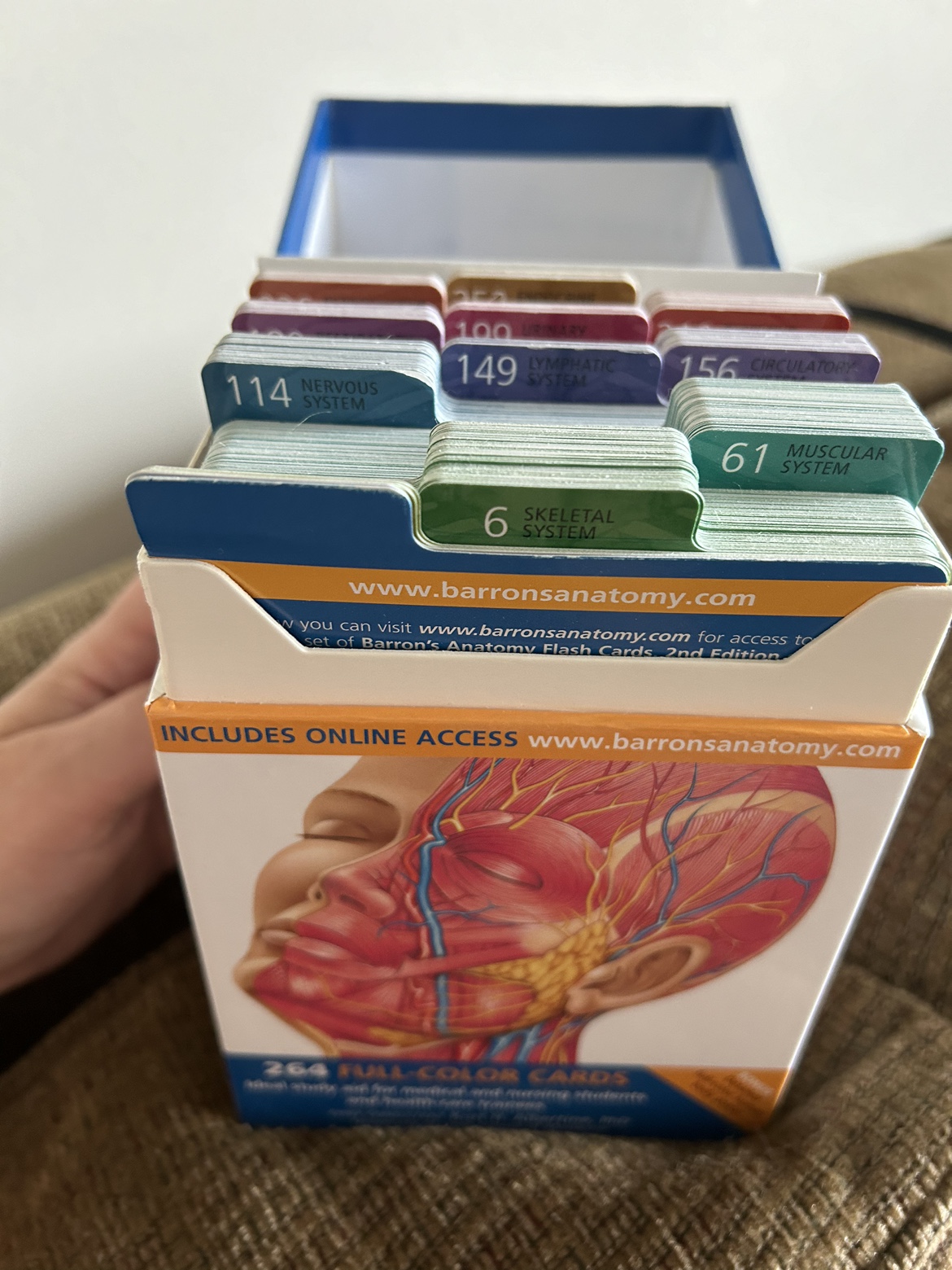 Anatomy Flash Cards - photo 2