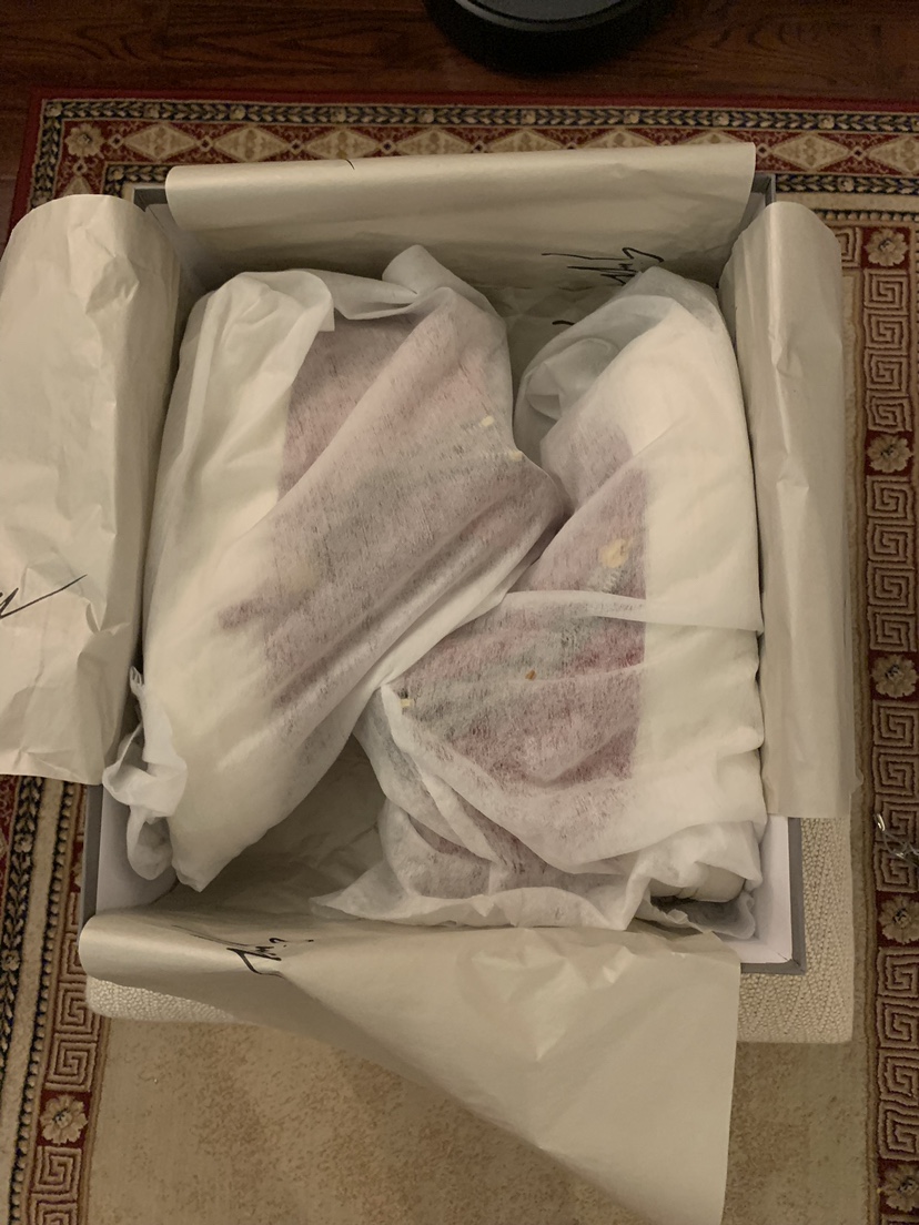 Giuseppe Zanoti image indicator(4)