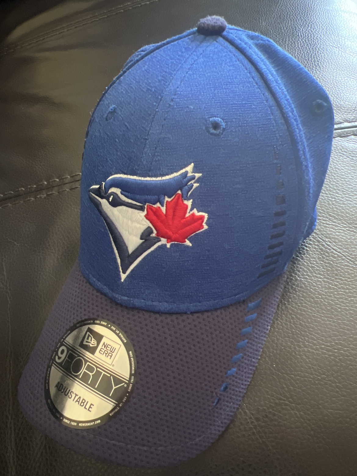 Blue jay cap
