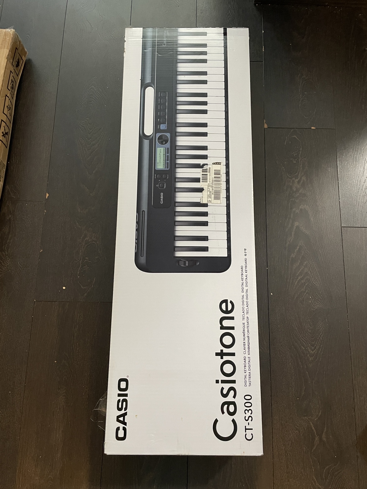 Casiotone CT S-300 image indicator(5)