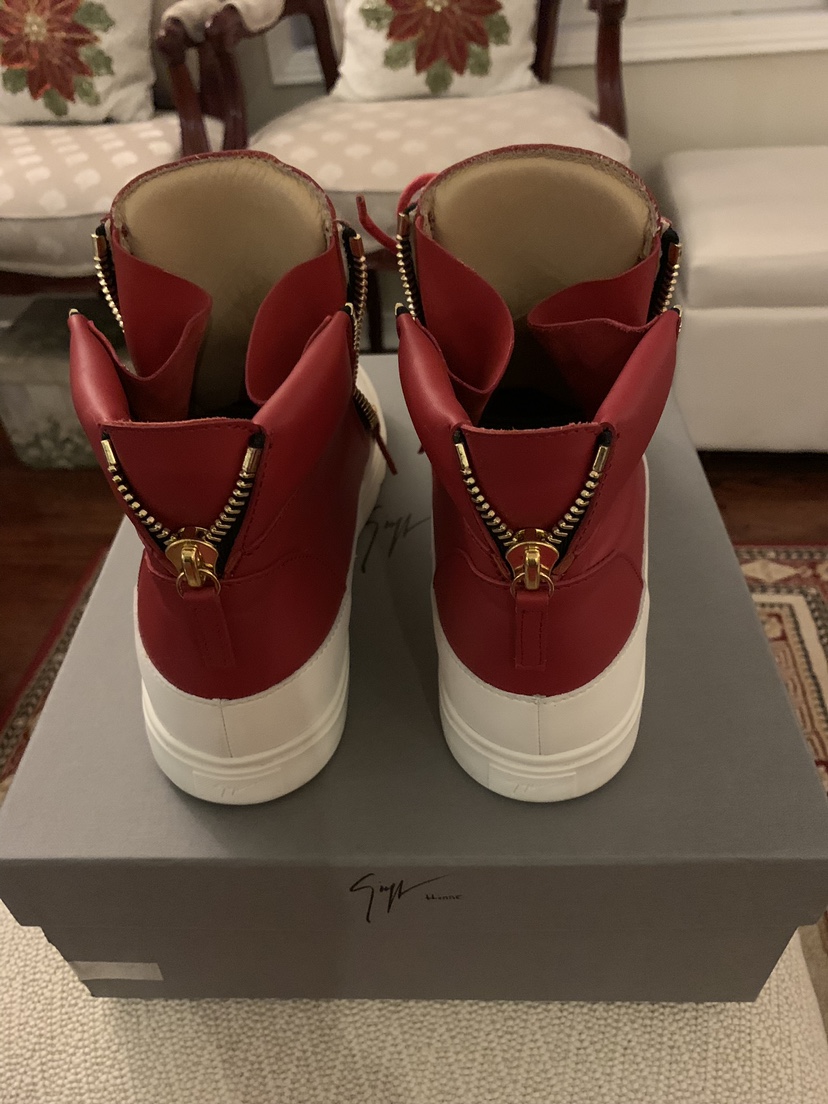 Giuseppe Zanoti image indicator(2)