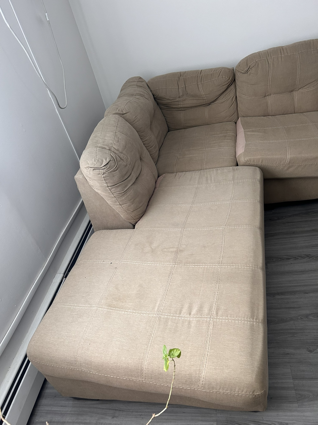 Sofa / Couch - photo 4