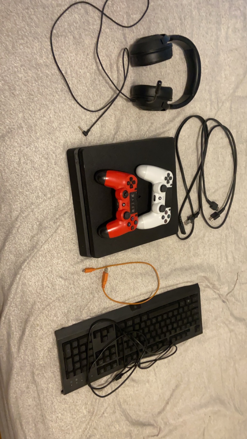 PS4 bundle