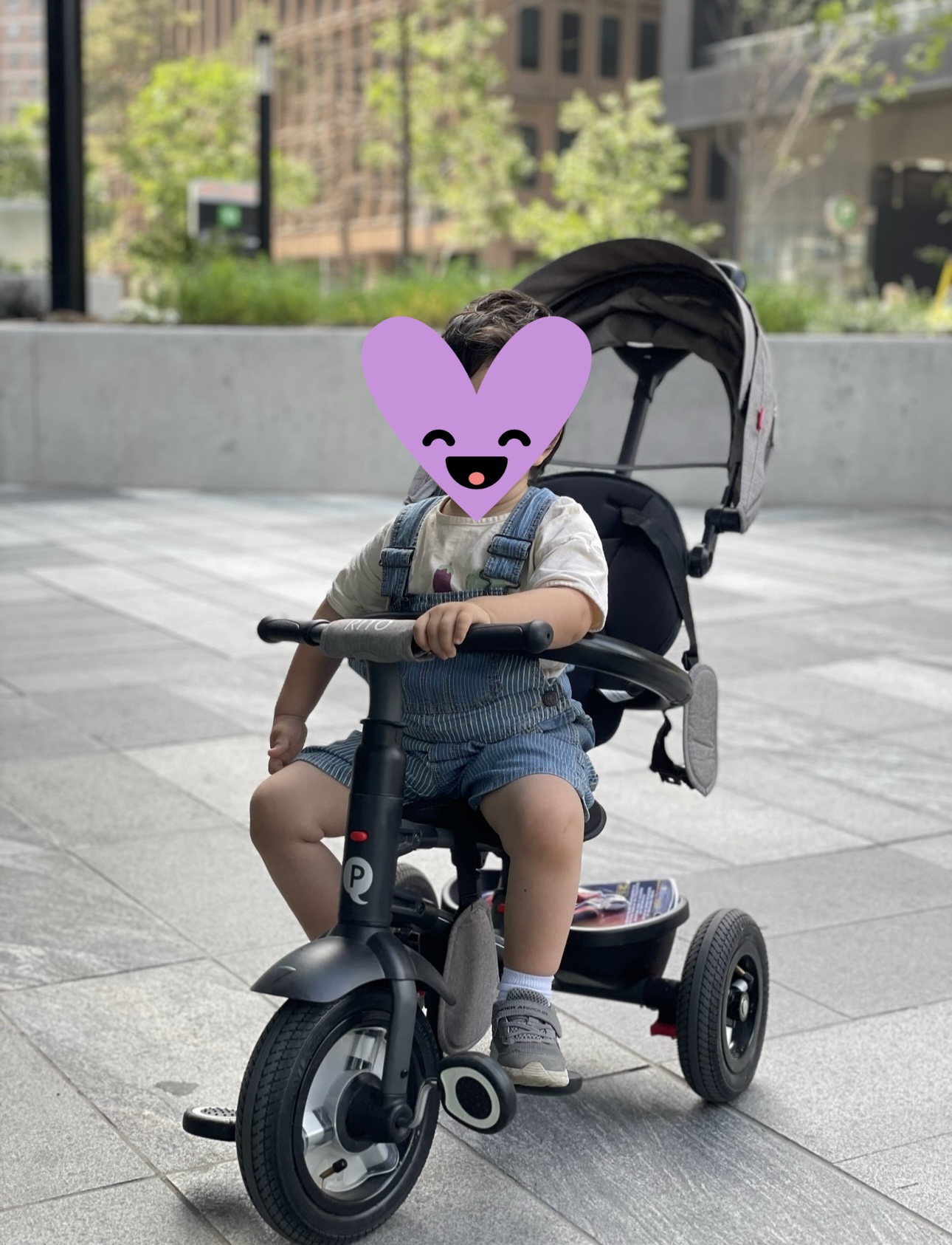 Folding Trike