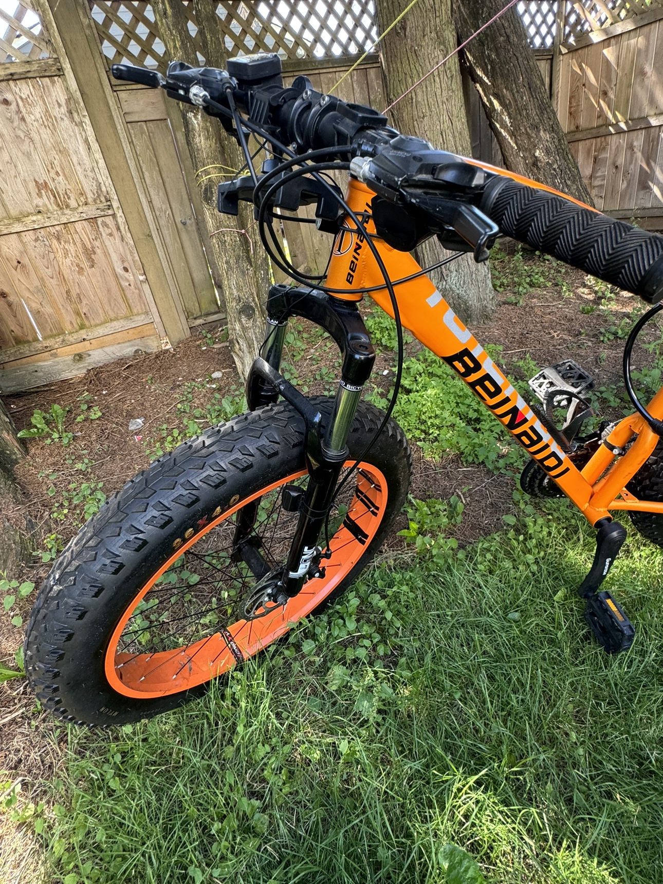 Fat bike - photo 2