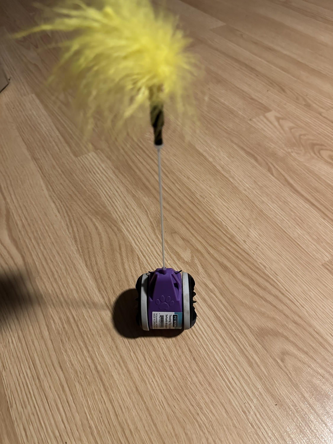 Rolling Cat toy with yellow feather