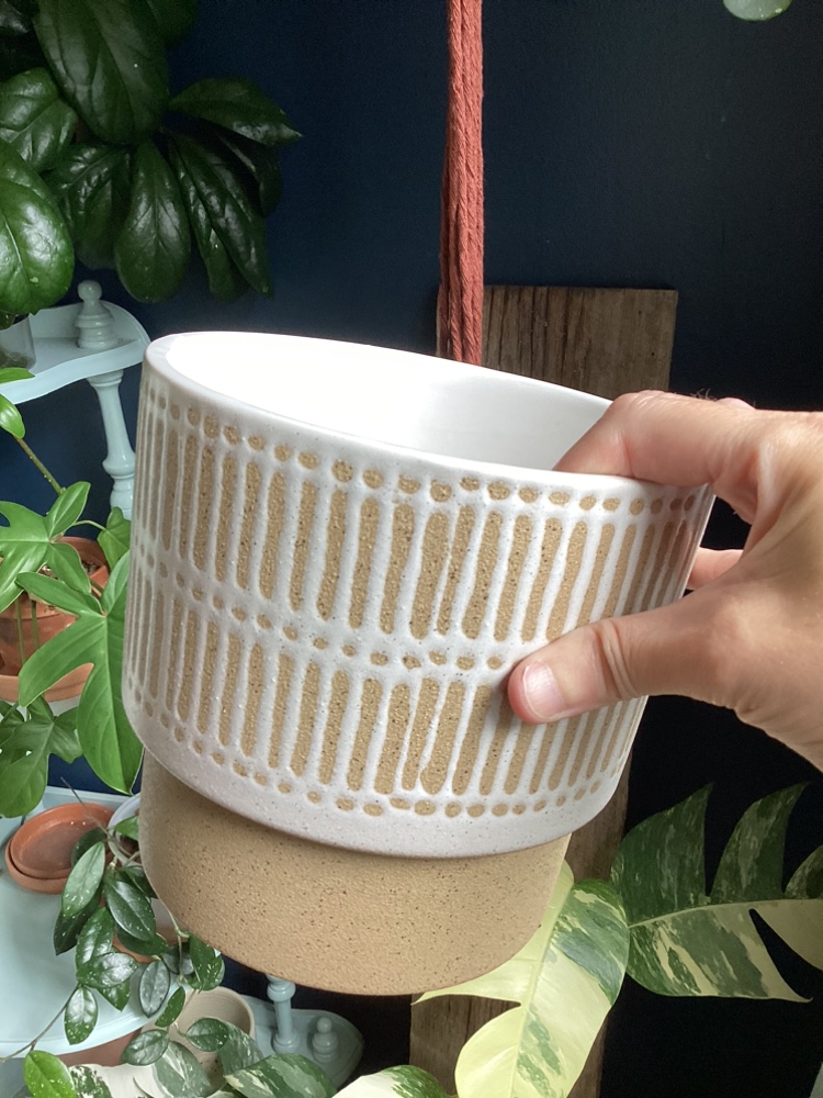 Collection of Plant Pots image indicator(2)