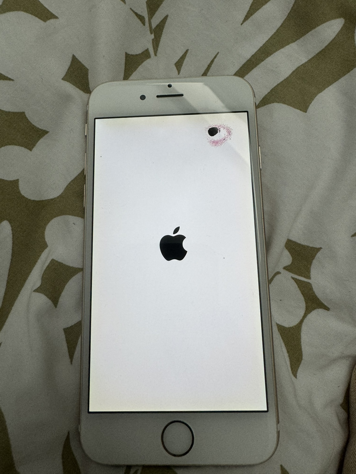 iPhone 6