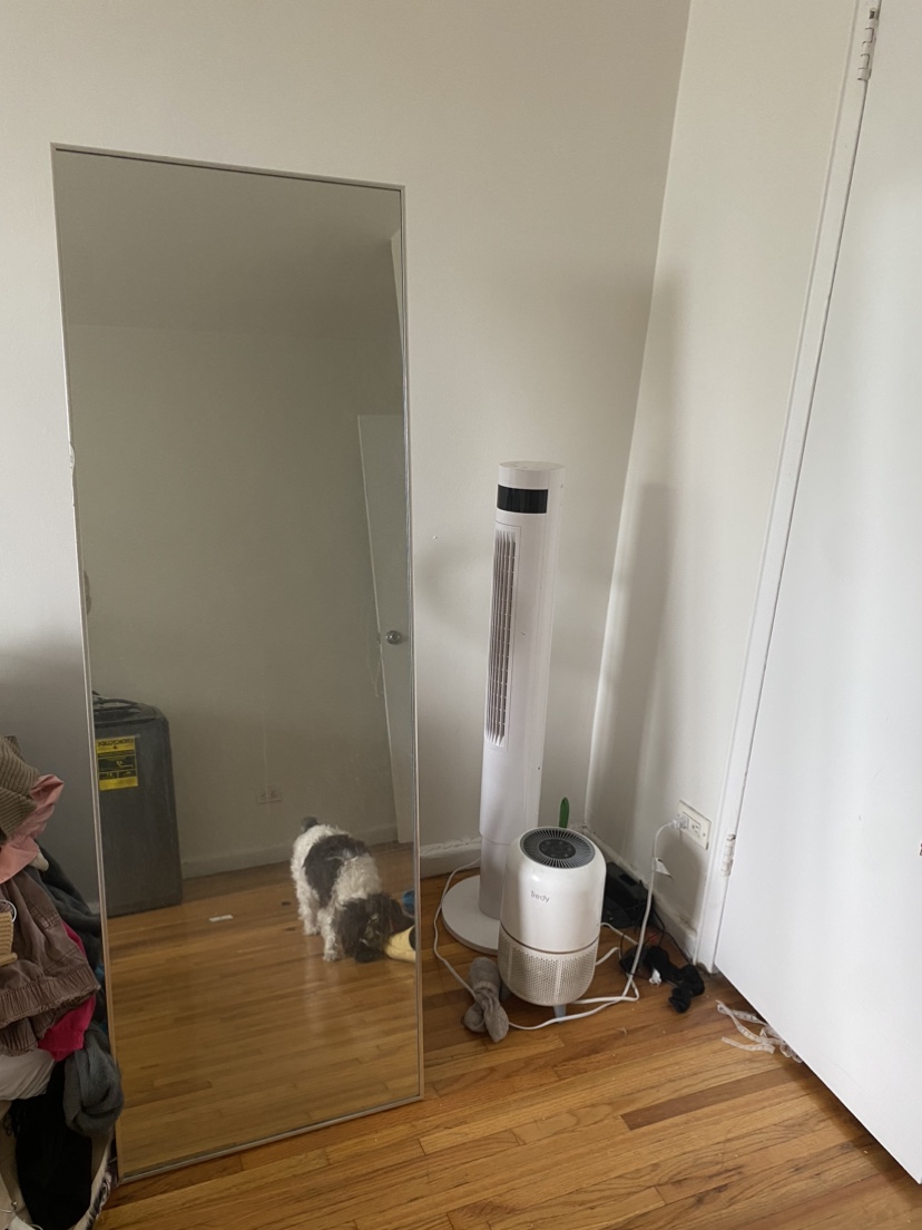 Standing mirror large
