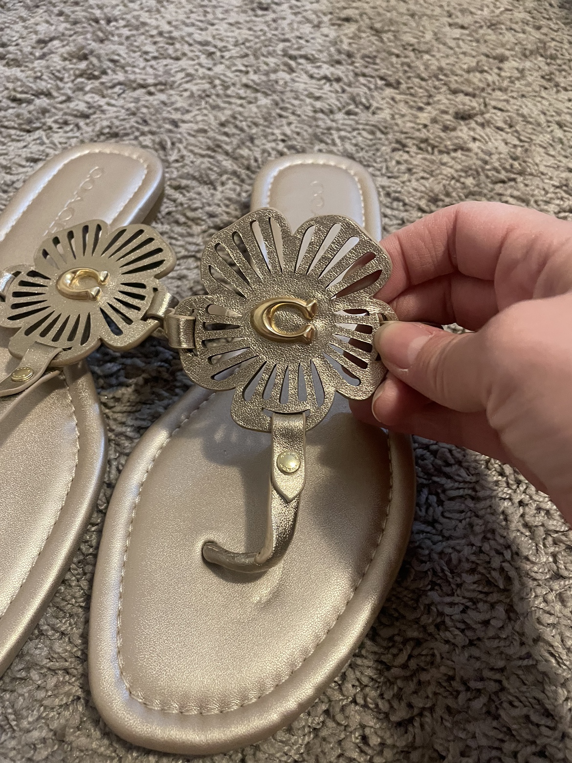 Adorable size 8.5 coach sandals image indicator(2)