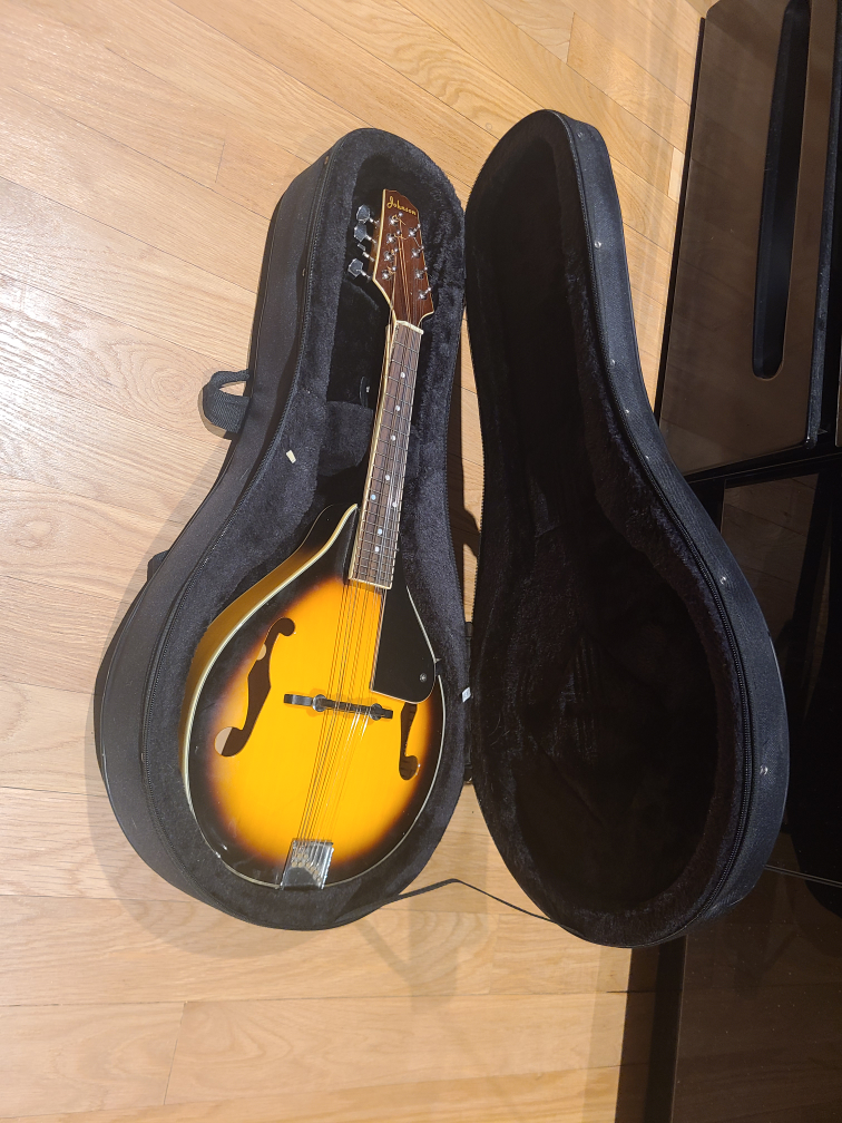 Mandolin case
