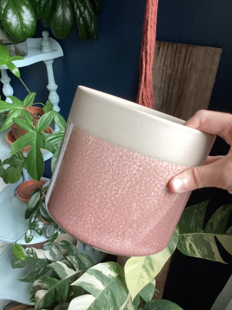 Collection of Plant Pots image indicator(3)