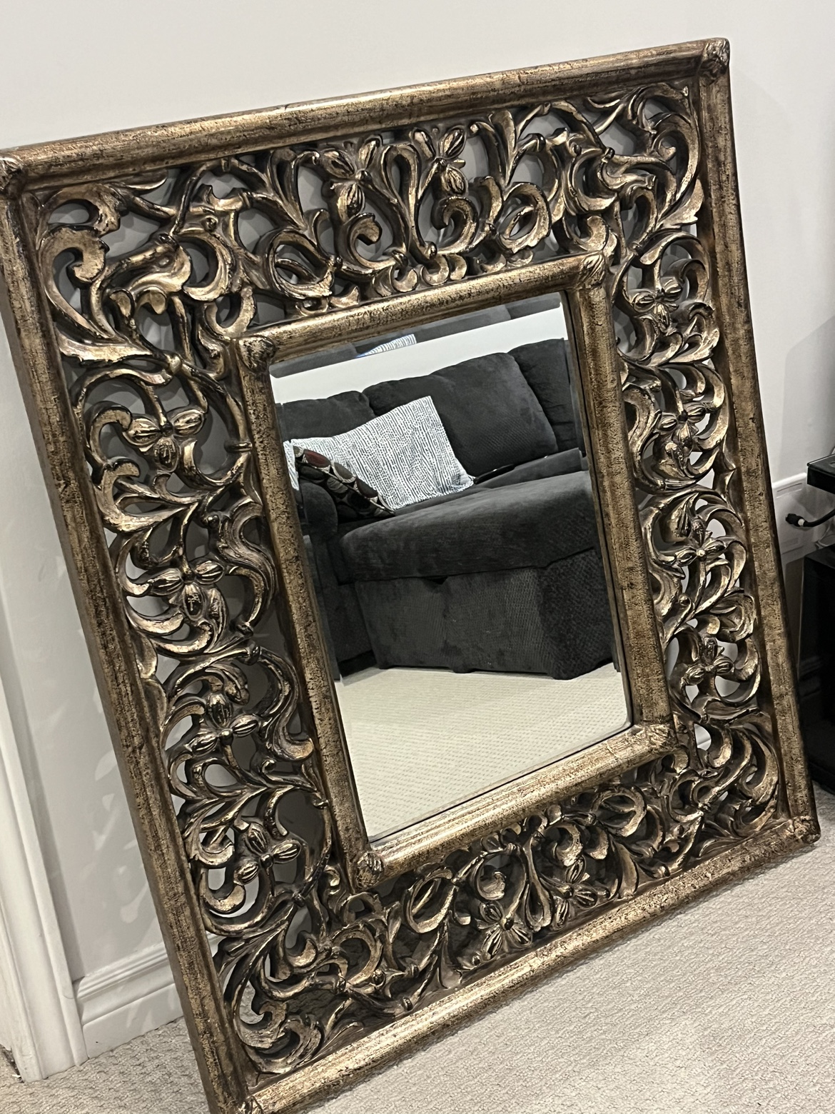 Mirror image indicator(2)