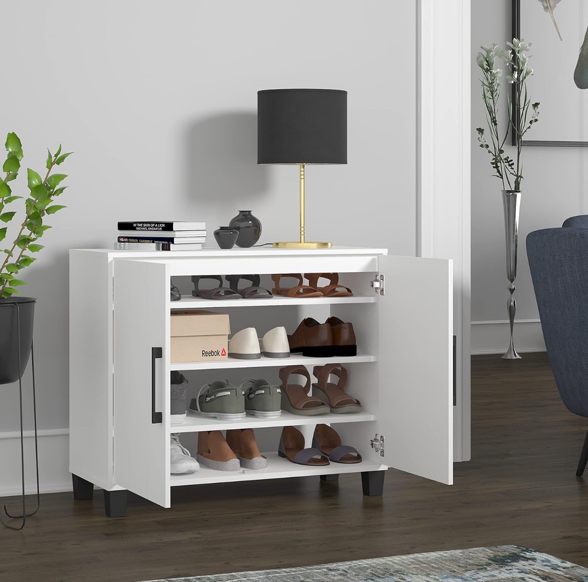 Shoe Cabinet Organizer