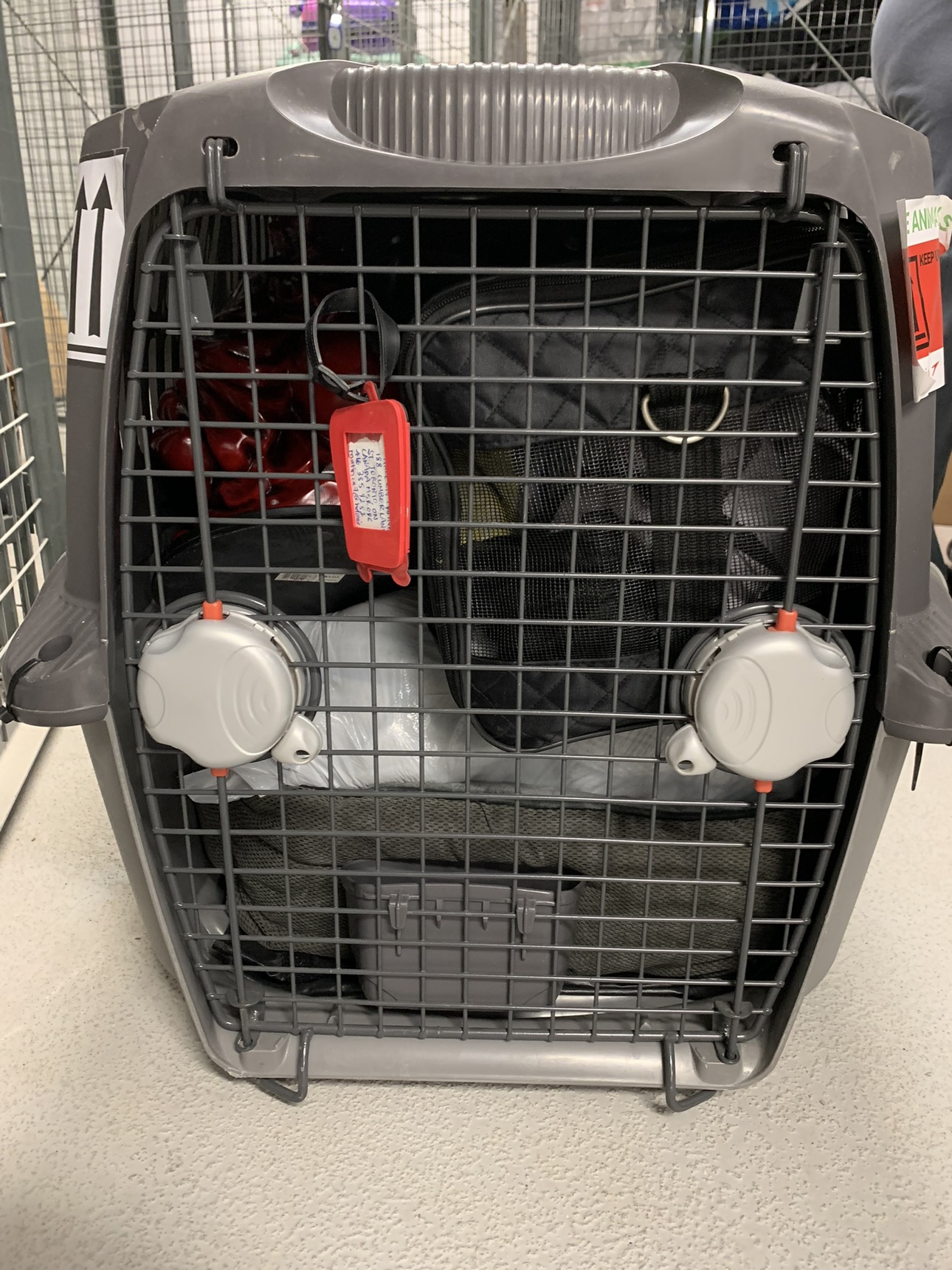 Cargo Pet Carrier - photo 3