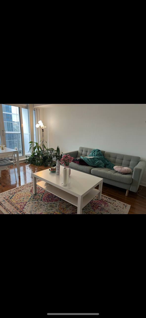Ikea coach - photo 2
