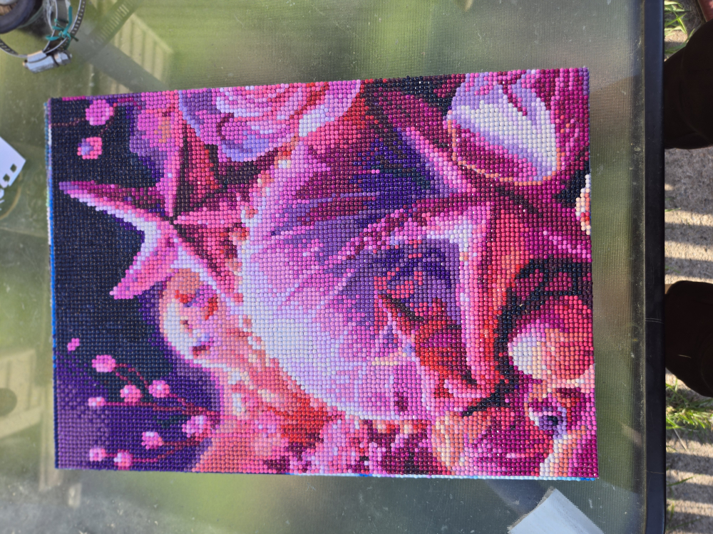 Shell star dish and flower diamond painting image indicator(2)