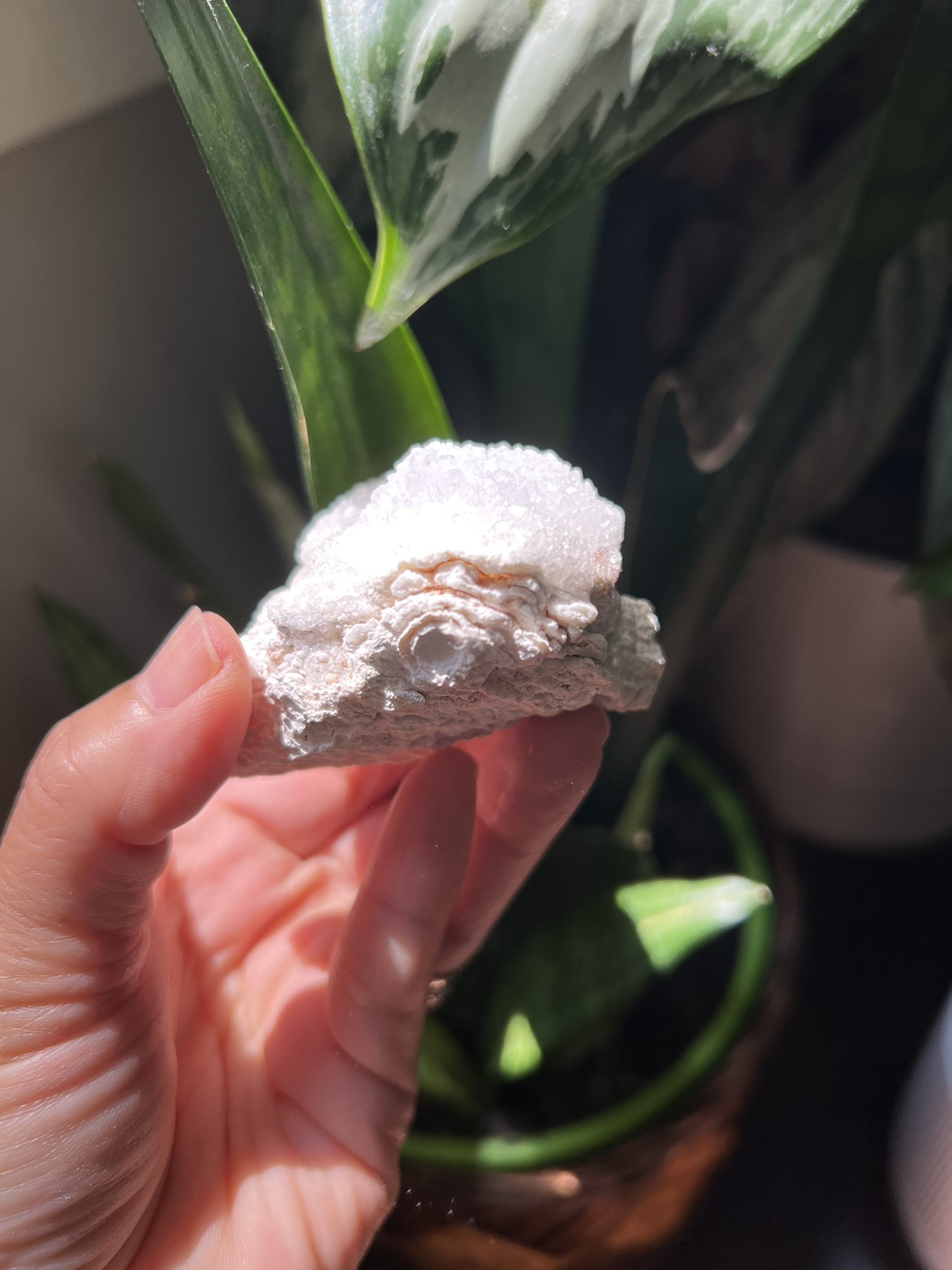 Clear quartz specimen (d) | crystal image indicator(6)