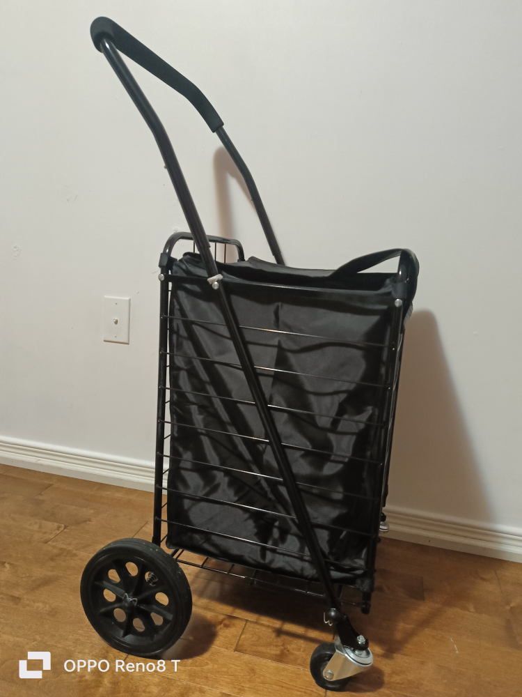 shoping car - photo 2
