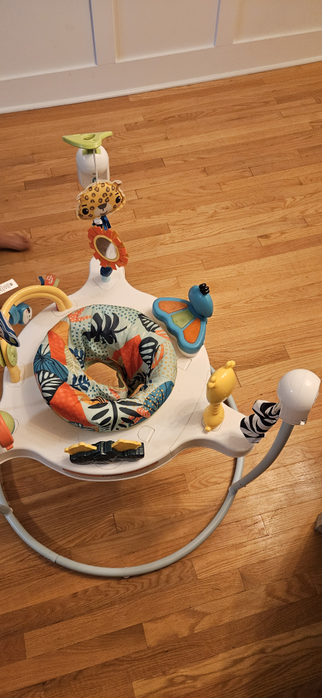 Fisher-Price Jumperoo Baby Activity Center - photo 4